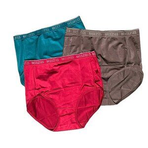 Breezies Nylon Microfiber Brief Panty Set of 3 LARGE